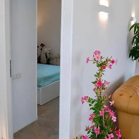 Attico Esclusivo Nel Centro Citta 公寓 卡利亚里